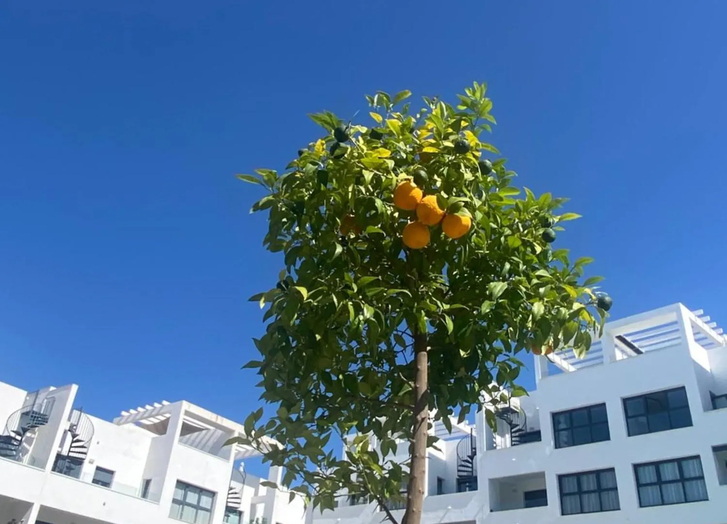 Luxery Apartment With Pool In Estepona-Centre 0*, Estepona Espanha